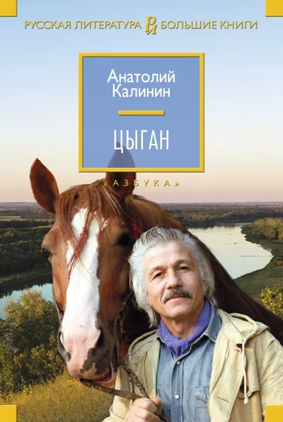 Обложка Цыган