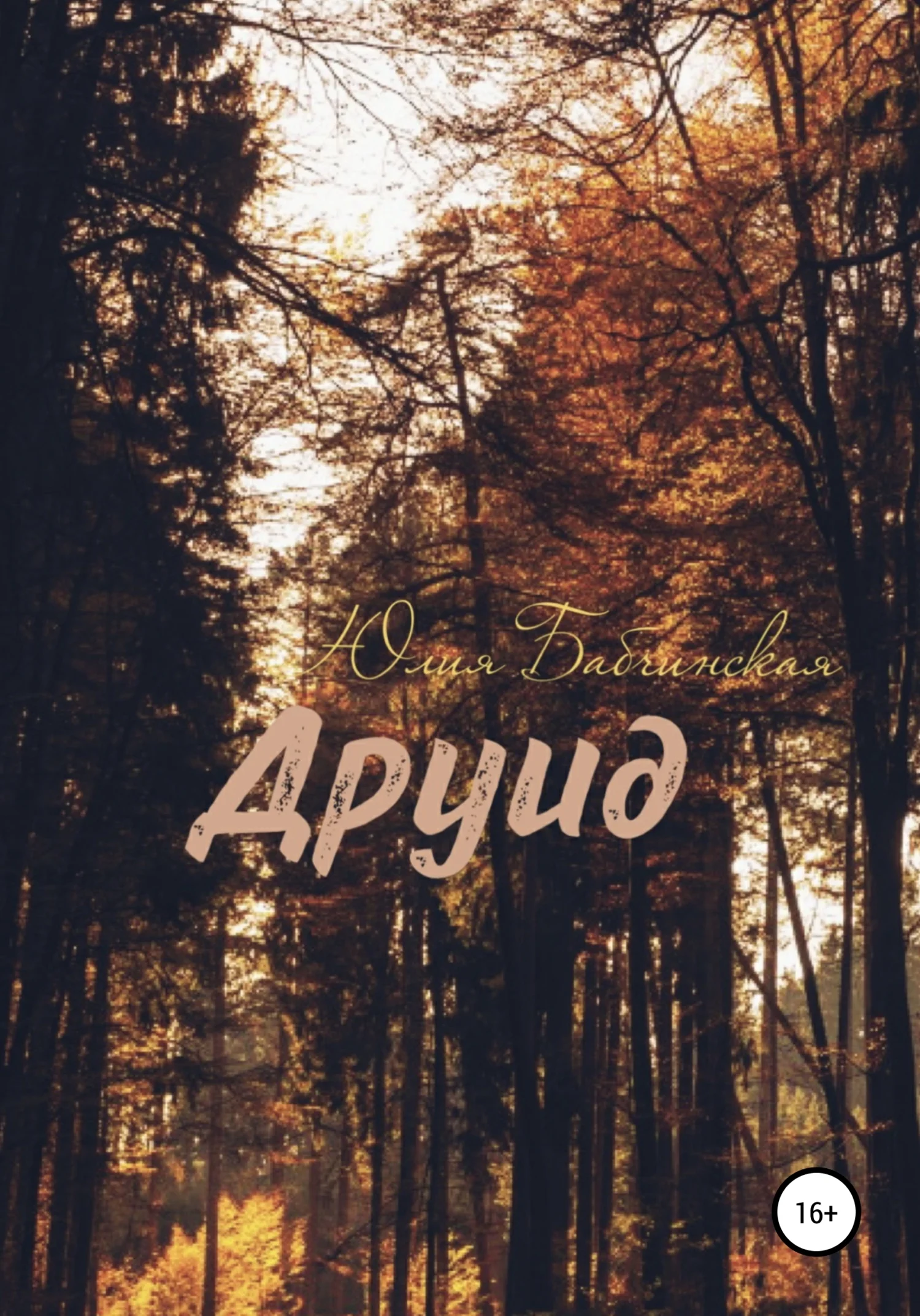 Обложка Друид