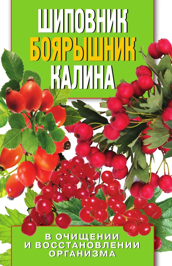Обложка Шиповник, боярышник, калина в очищении и восстановлении организма