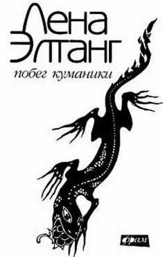 Обложка Побег куманики