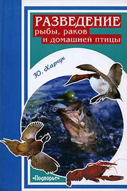 Обложка Разведение рыбы, раков и домашней птицы