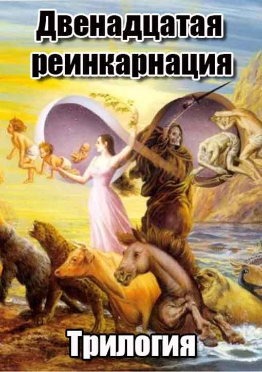 Обложка Двенадцатая реинкарнация