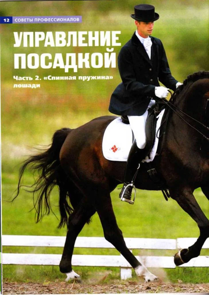 Обложка Управление посадкой. Часть 2 "Спинная пружина" лошади.