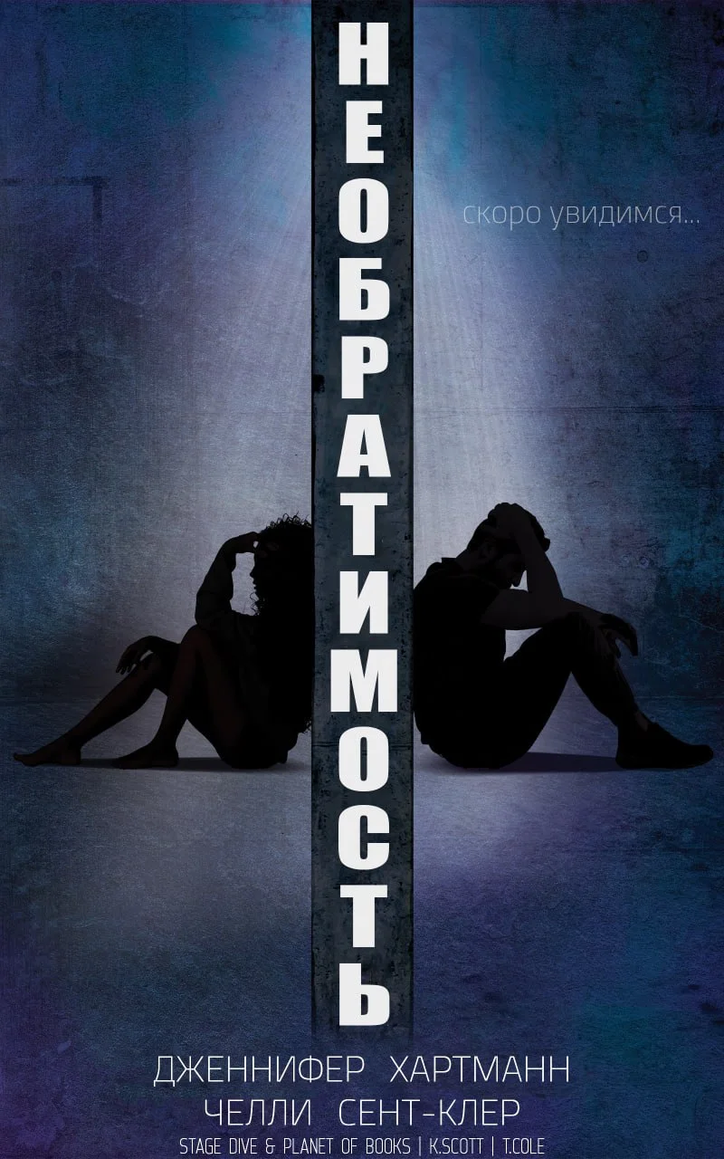 Обложка Необратимость