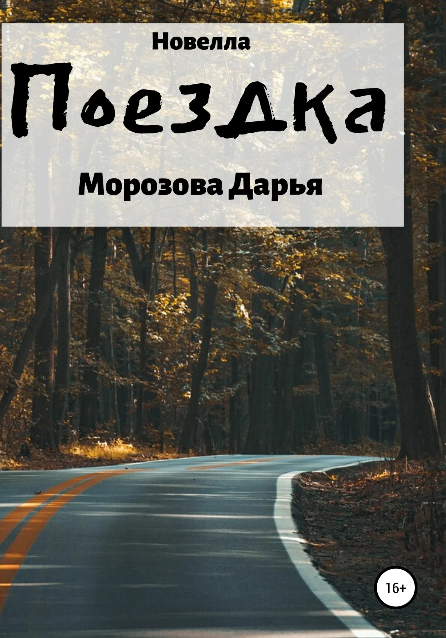 Обложка Поездка