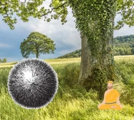 Обложка Одиночка