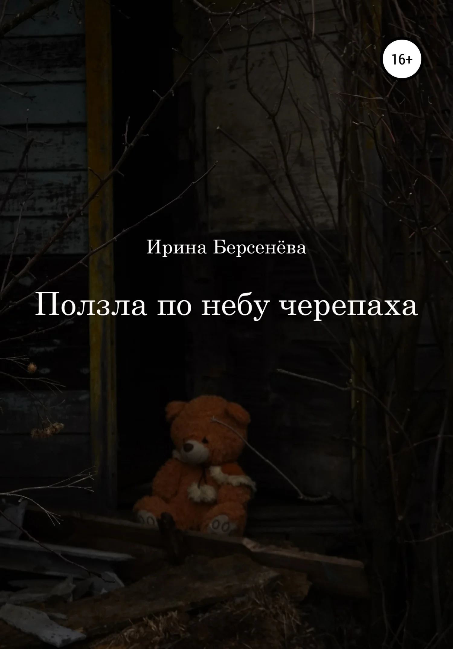 Обложка Ползла по небу черепаха