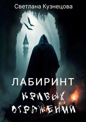 Обложка Лабиринт кривых отражений