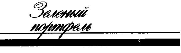 Обложка Зеленый портфель