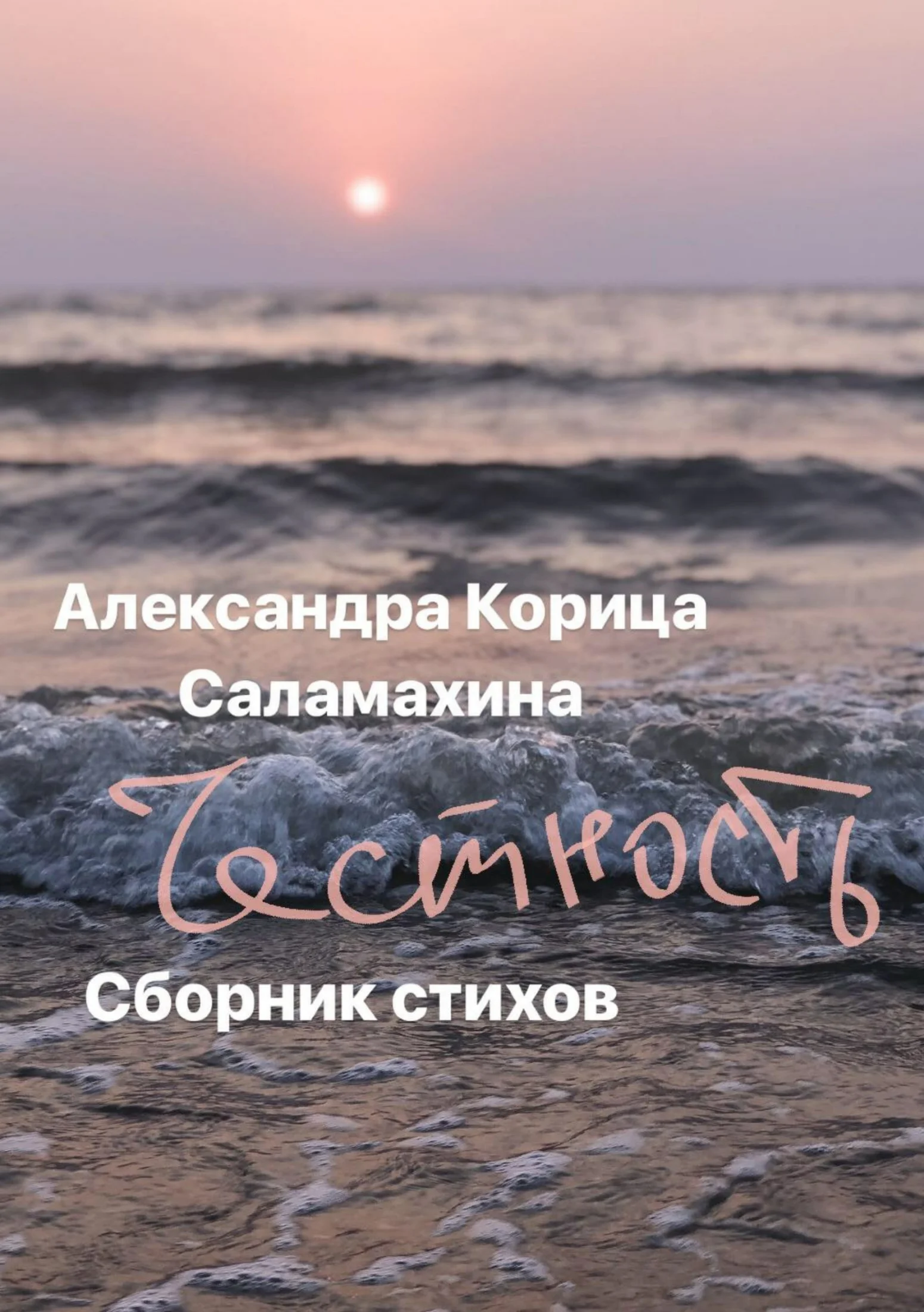 Обложка Честность. Сборник стихотворений