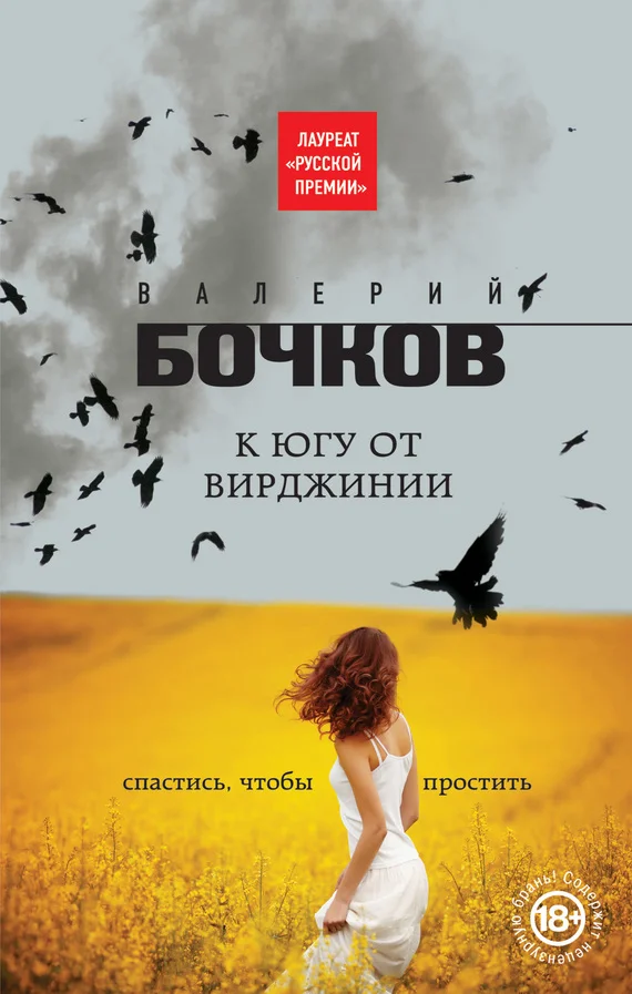 Обложка К югу от Вирджинии