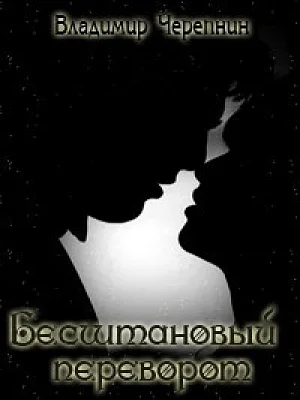 Обложка Бесштановый переворот (СИ)