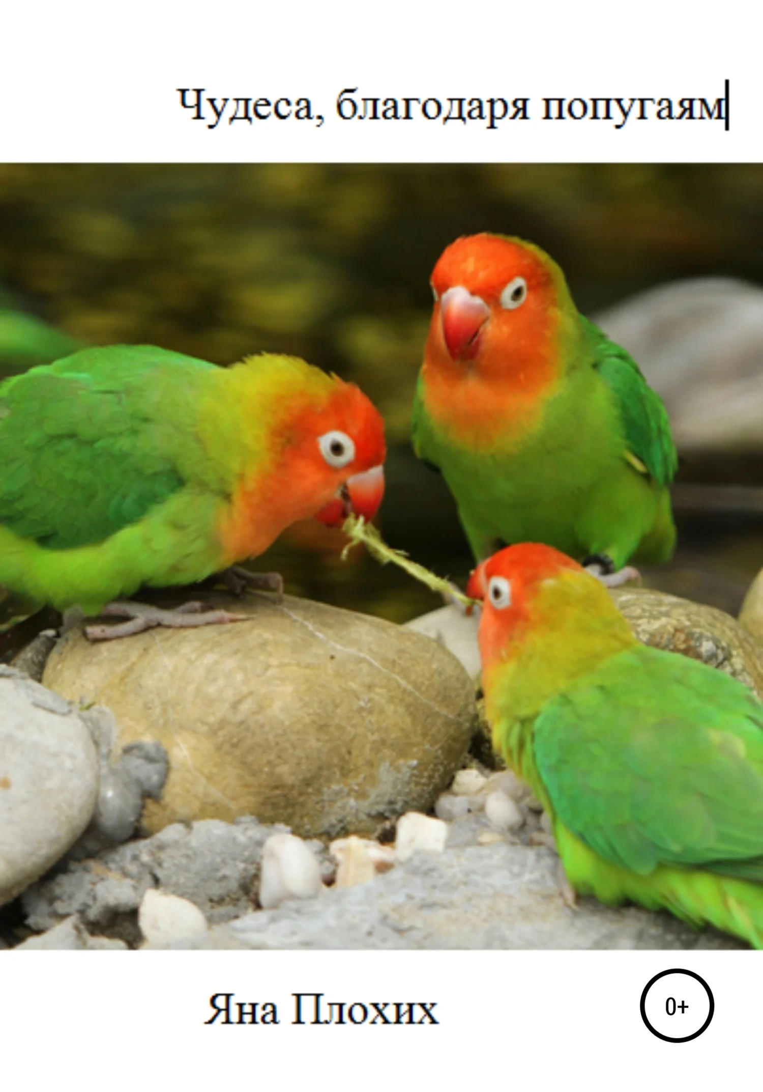 Обложка Чудеса, благодаря попугаям