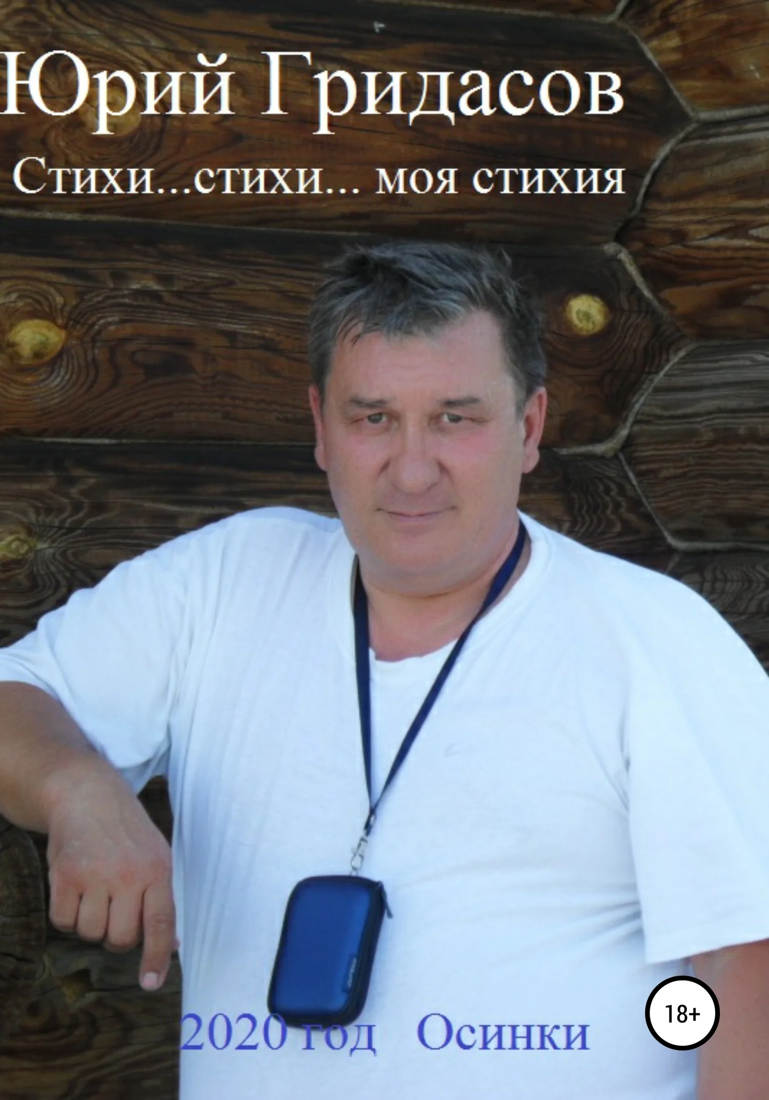 Обложка Стихи… стихи… моя стихия
