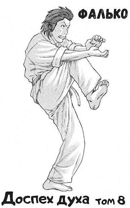 Обложка Доспех духа. Том 8