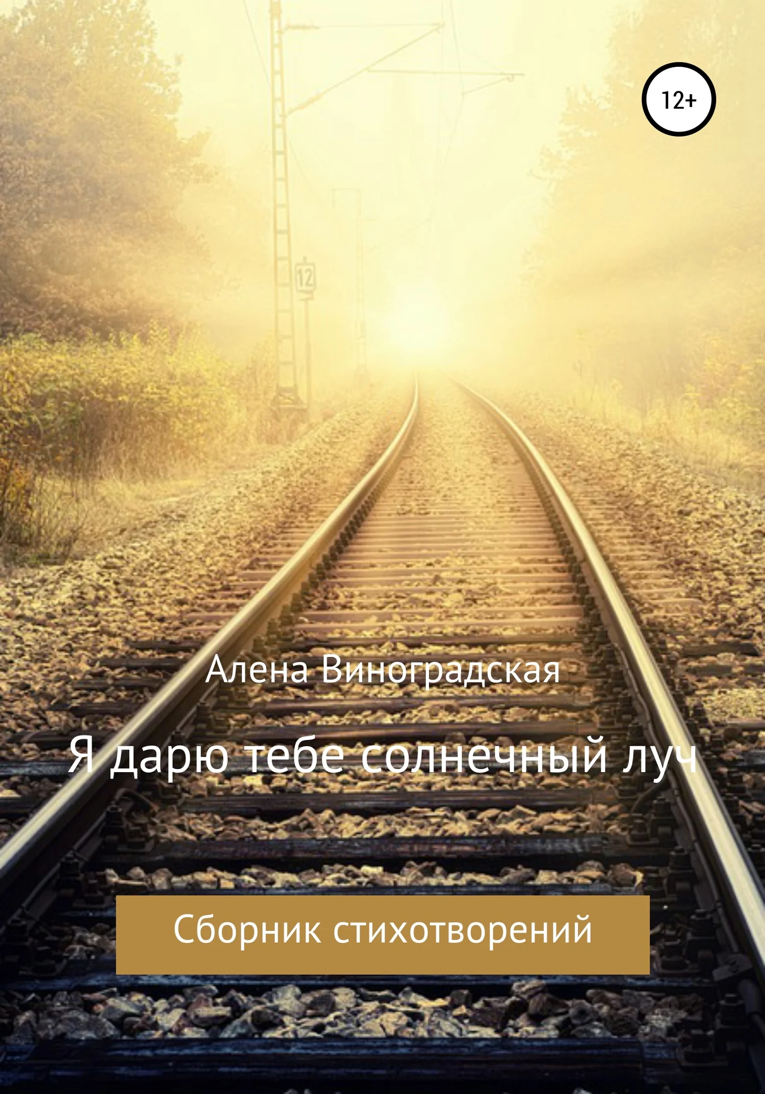 Обложка Я дарю тебе солнечный луч