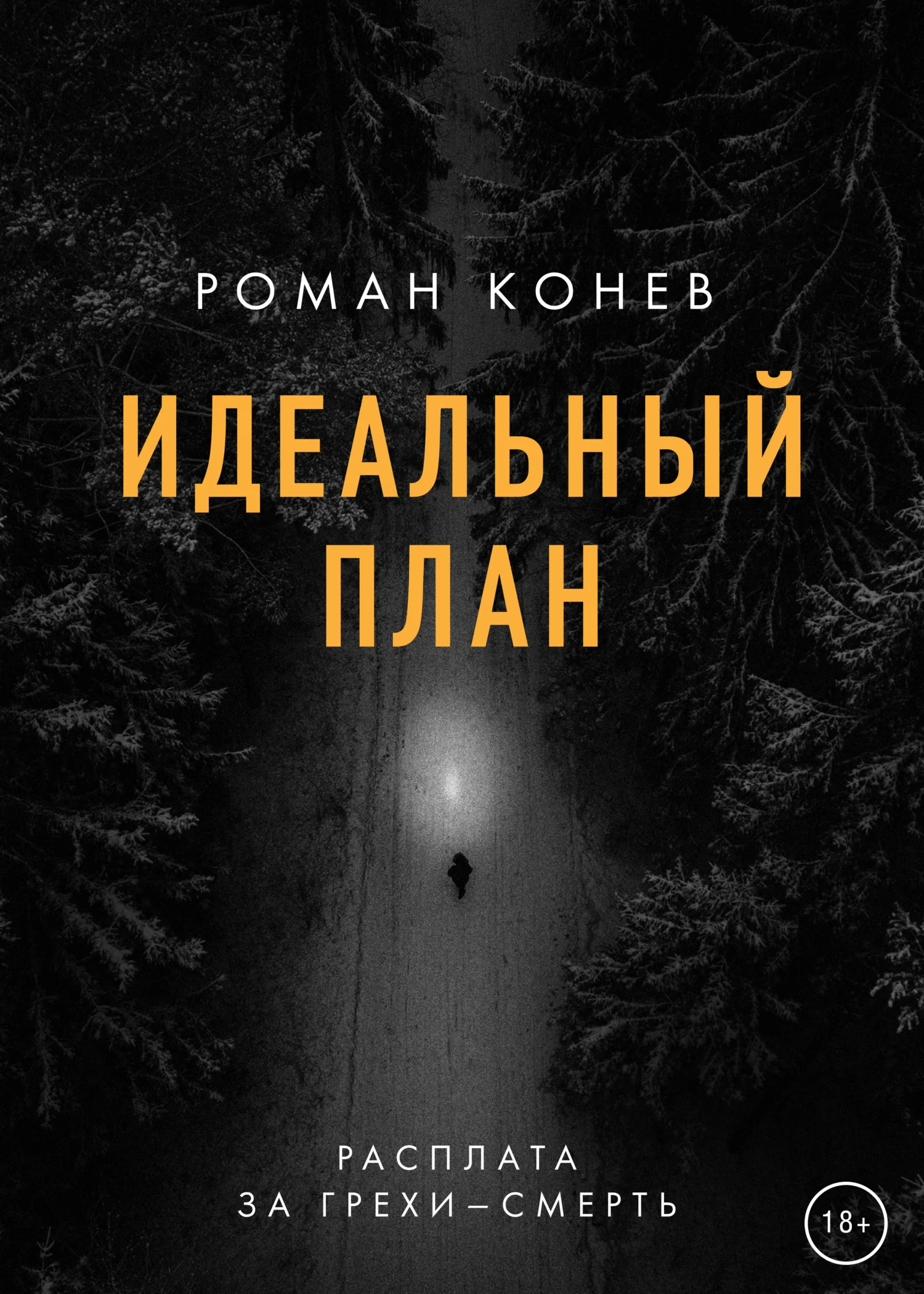 Обложка Идеальный план