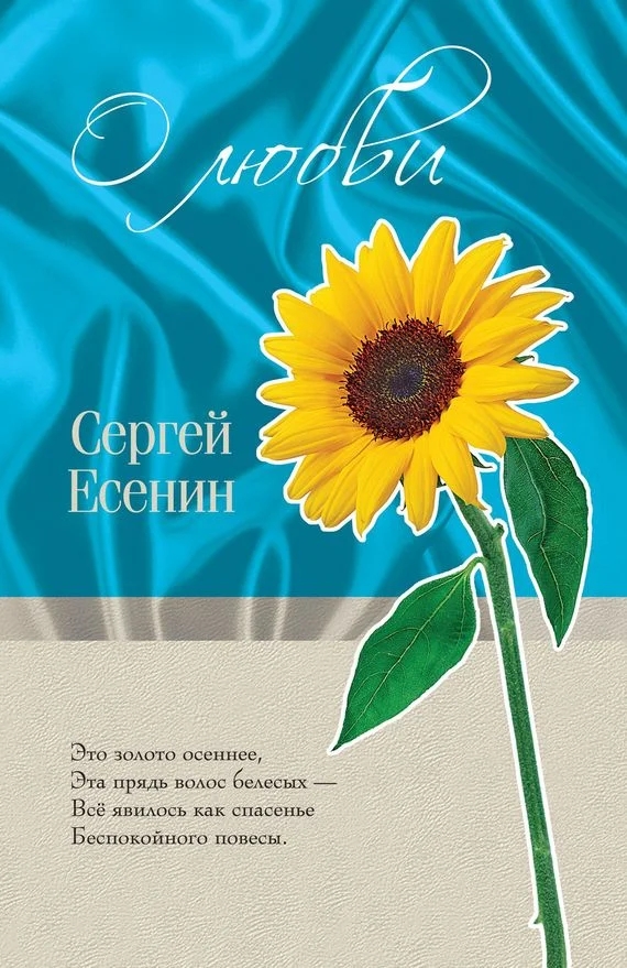 Обложка О любви