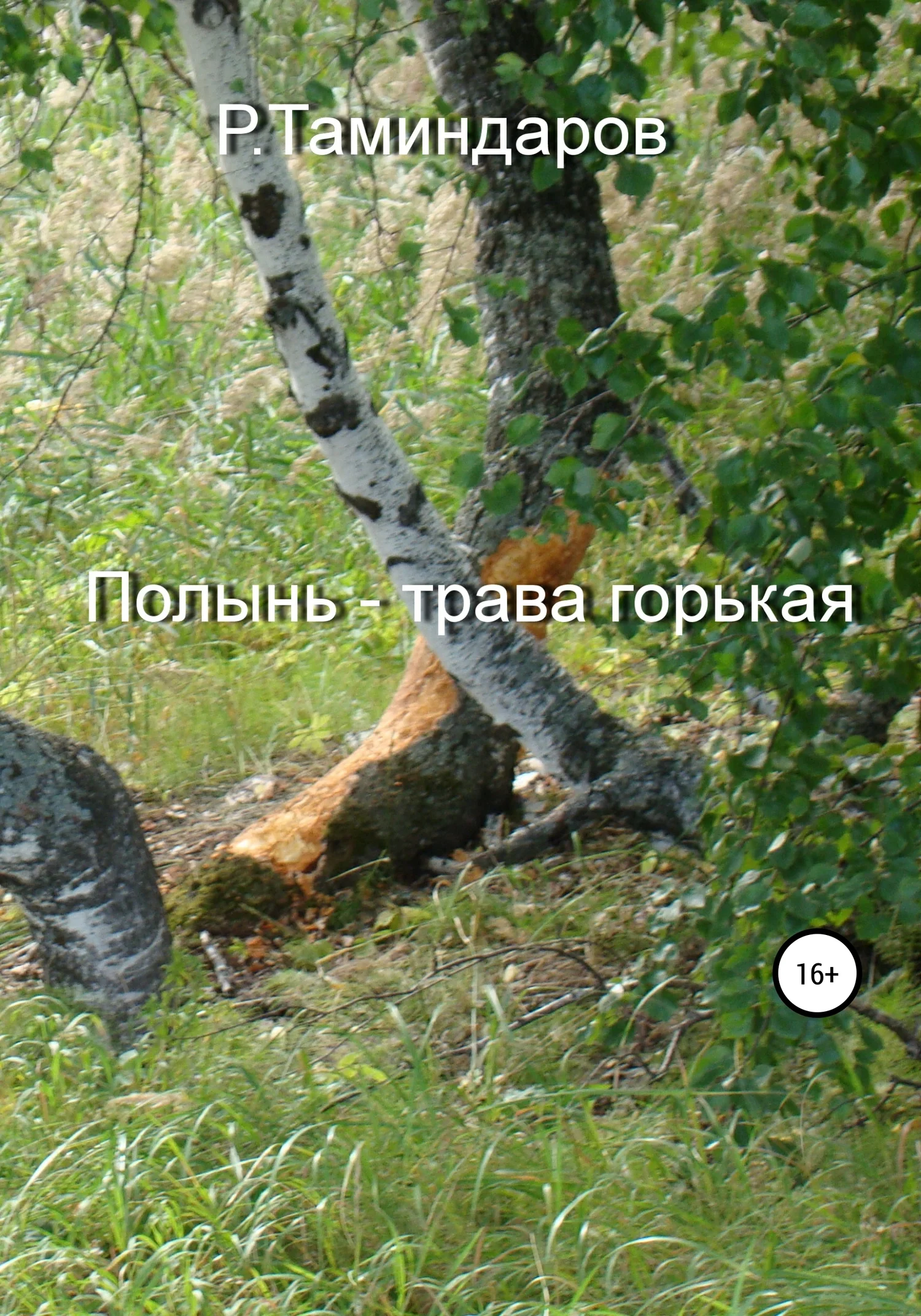 Обложка Полынь – трава горькая