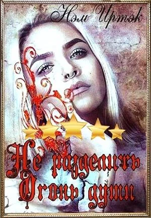 Обложка Не разделить огонь души