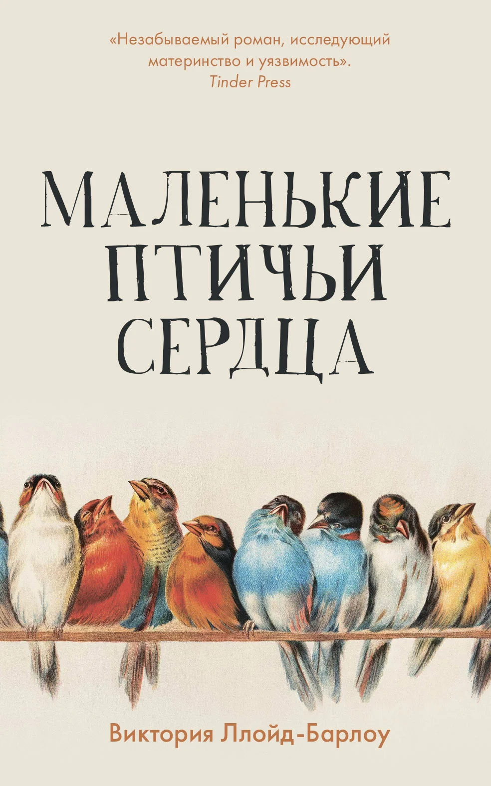Обложка Маленькие птичьи сердца