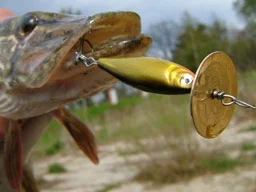 Обложка Сборник статей из интернета