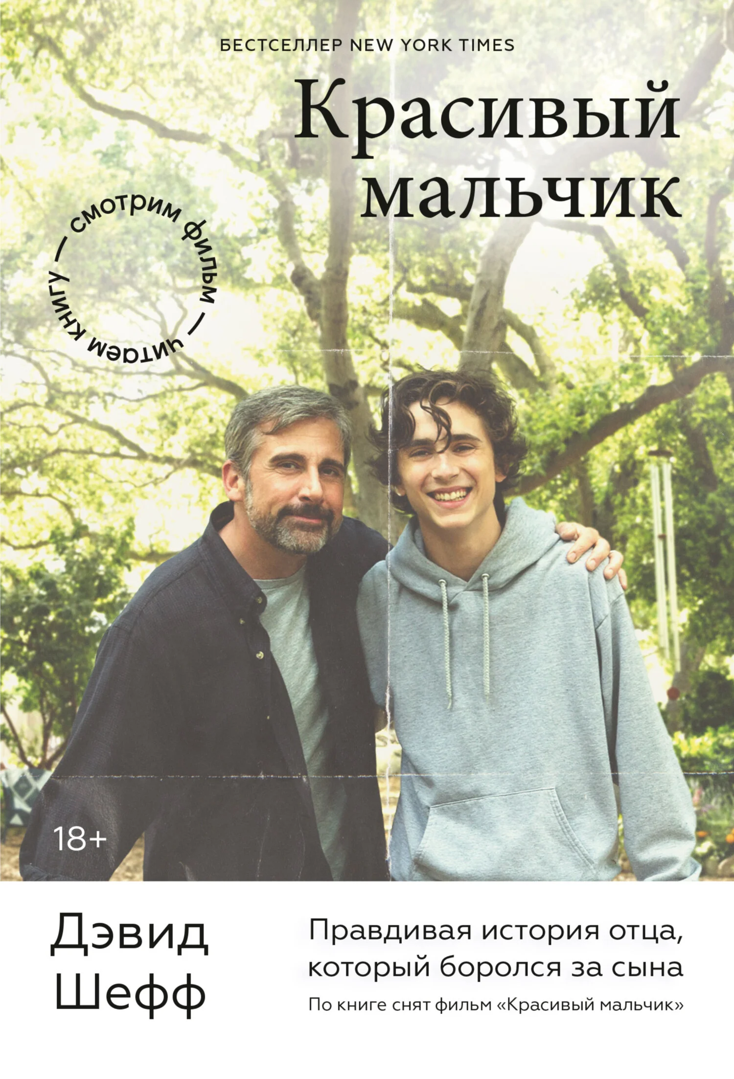 Обложка Красивый мальчик. Правдивая история отца, который боролся за сына
