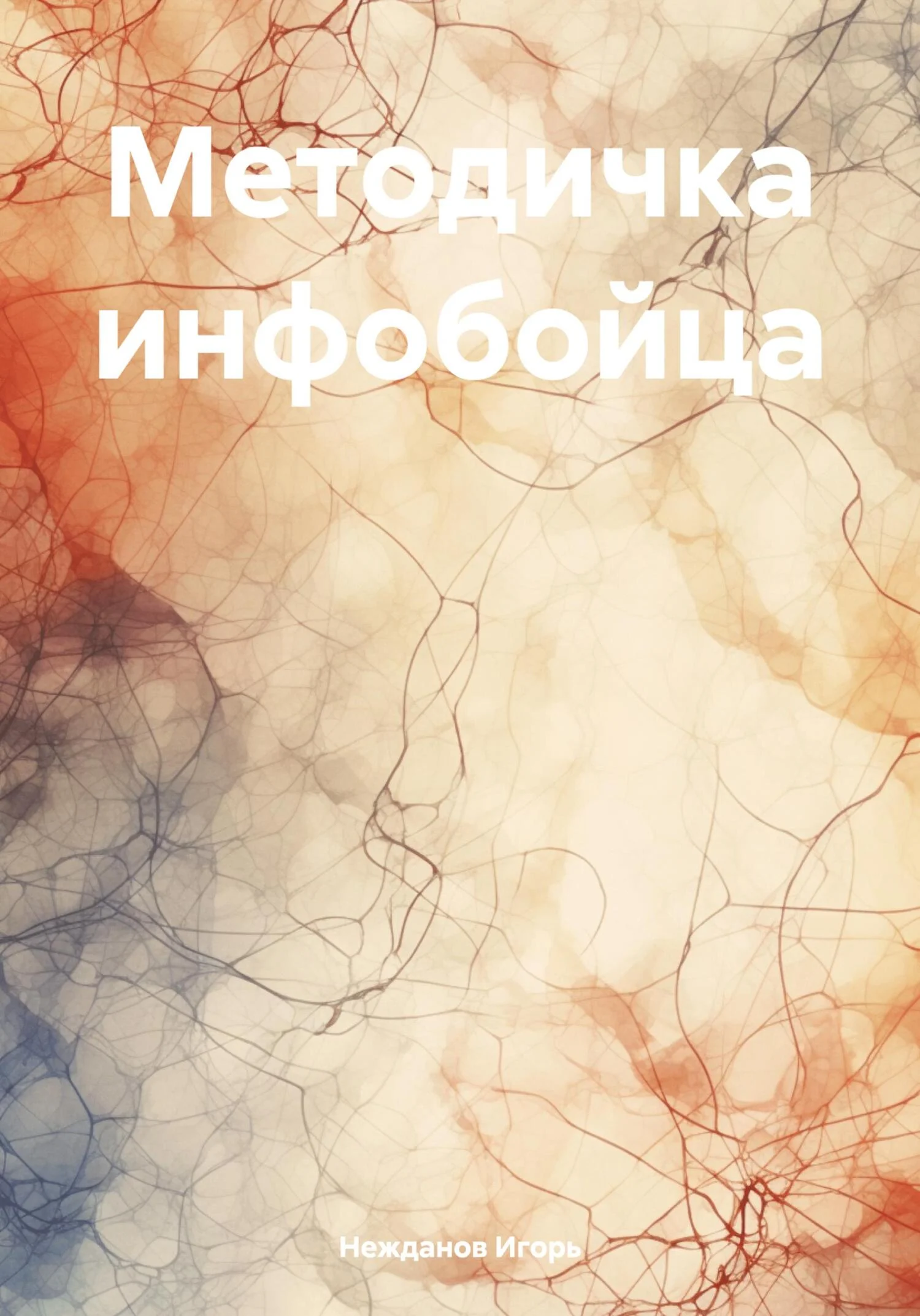 Обложка Методичка инфобойца