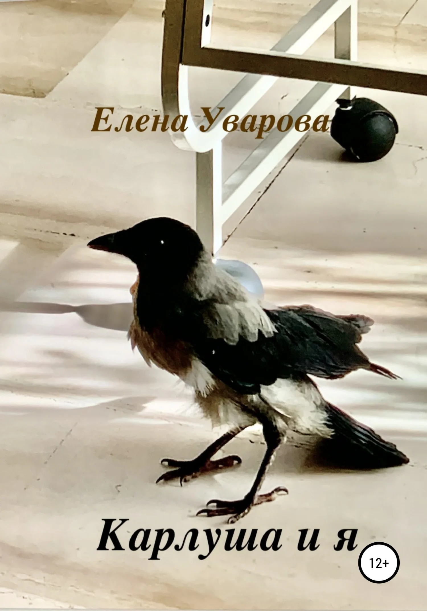 Обложка Карлуша и я