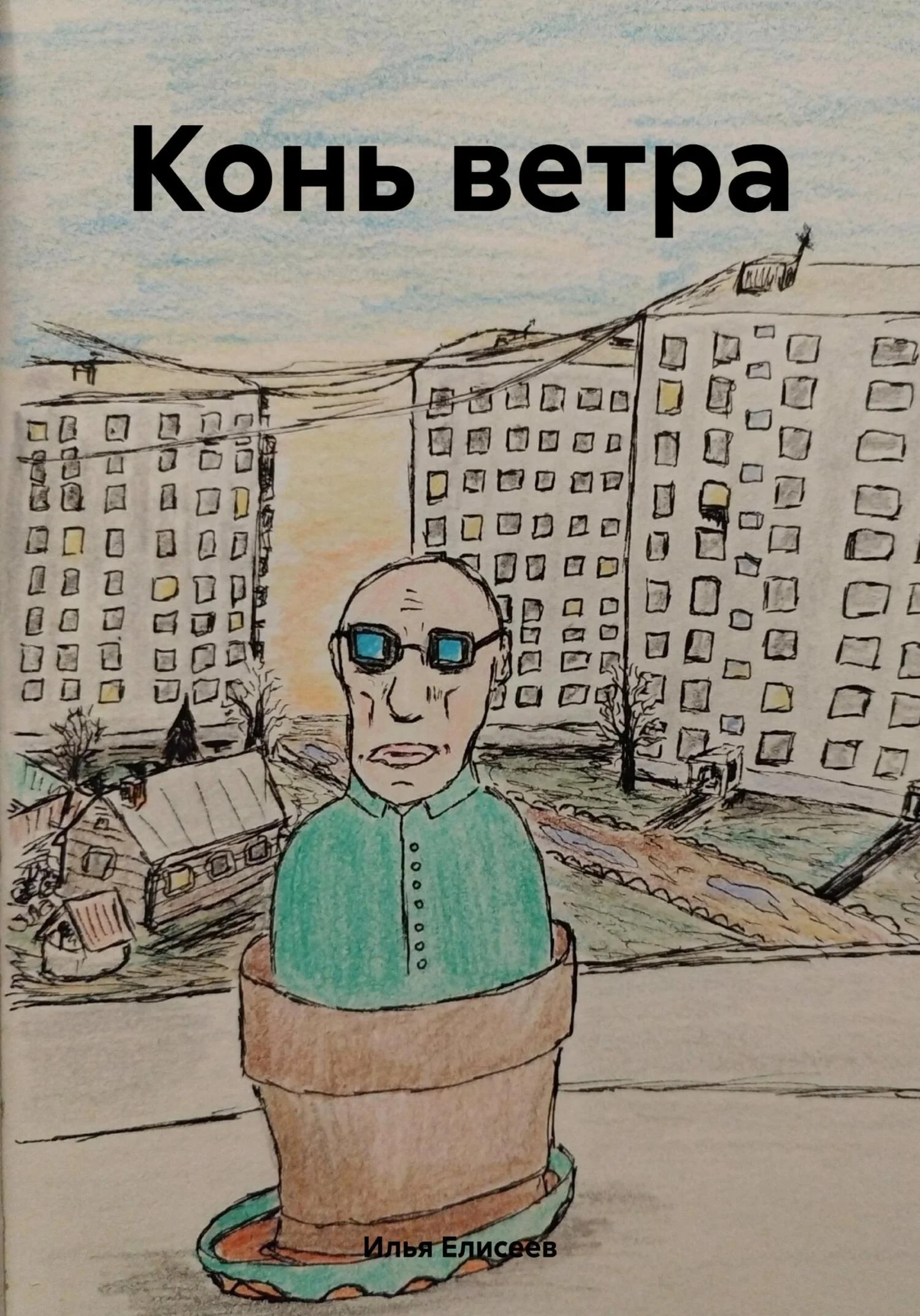 Обложка Конь ветра