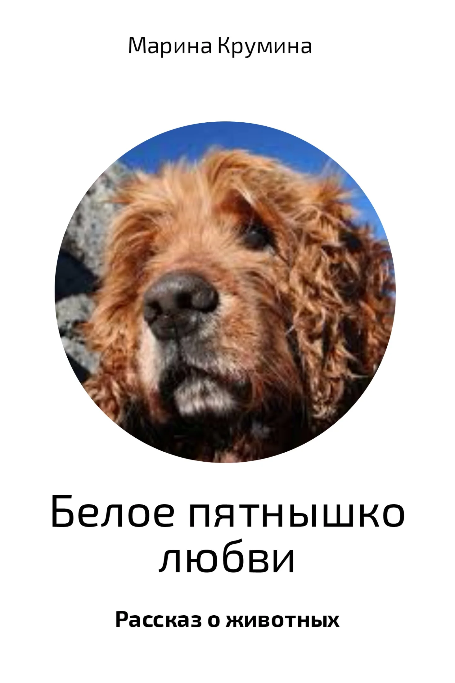 Обложка Белое пятнышко любви