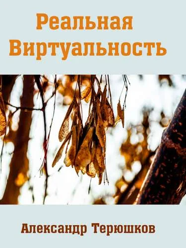 Обложка Реальная виртуальность