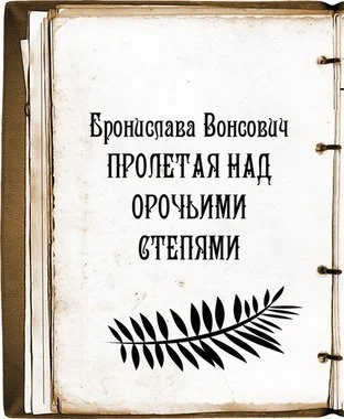 Обложка Пролетая над орочьими степями