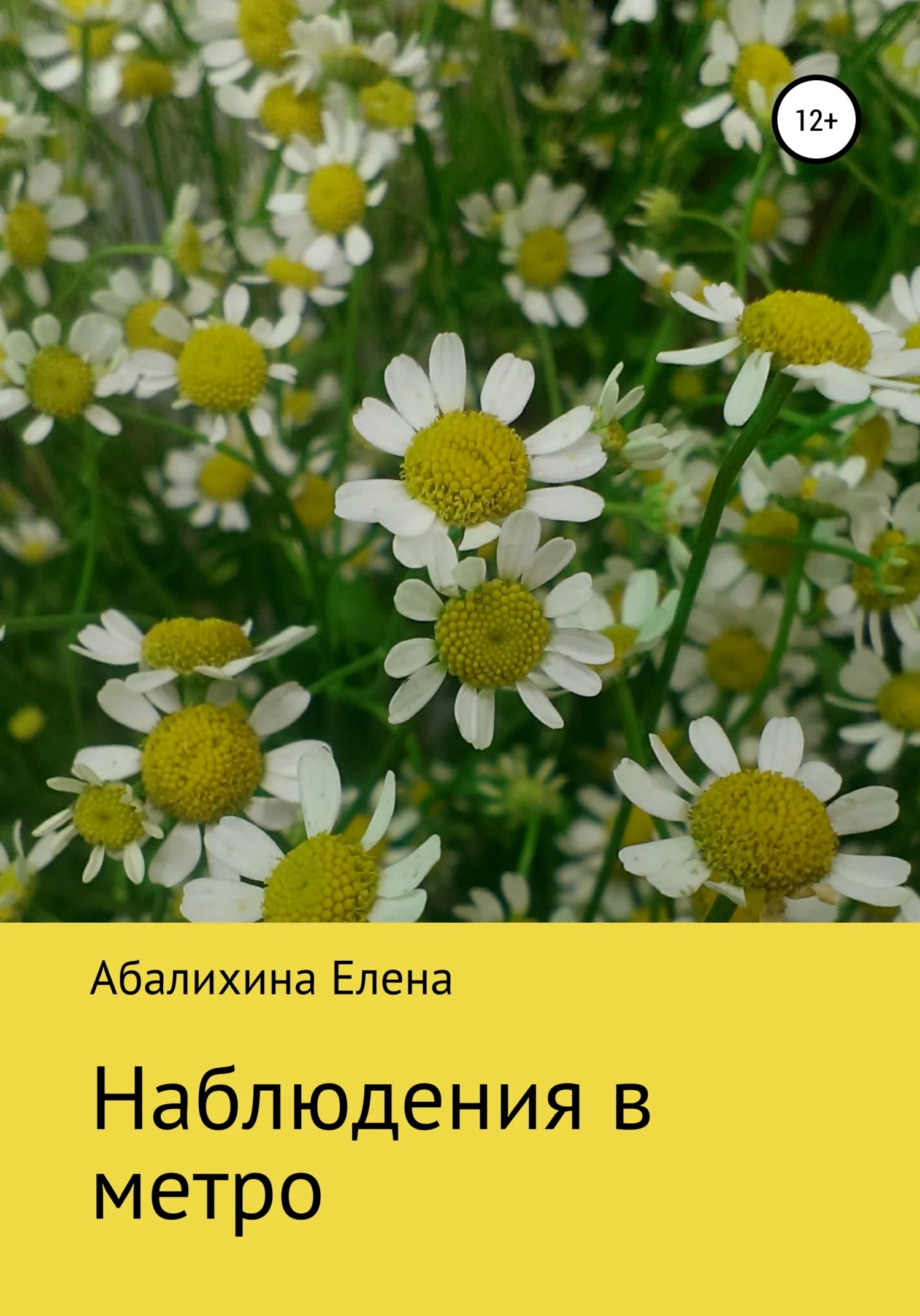 Обложка Наблюдения в метро