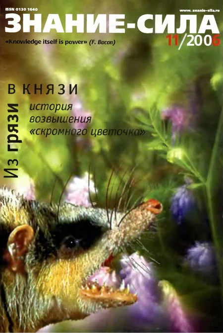 Обложка Знание-сила, 2006 № 11 (953)