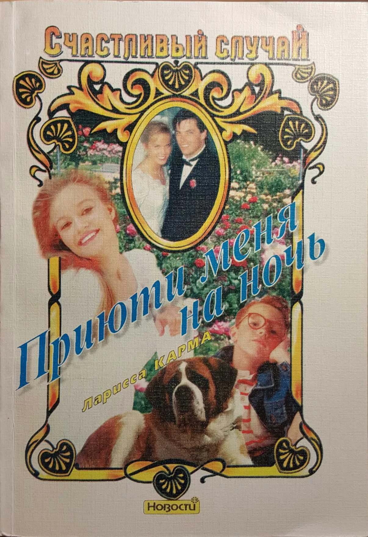 Обложка Приюти меня на ночь