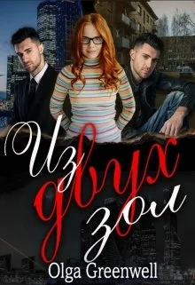 Обложка Из Двух Зол