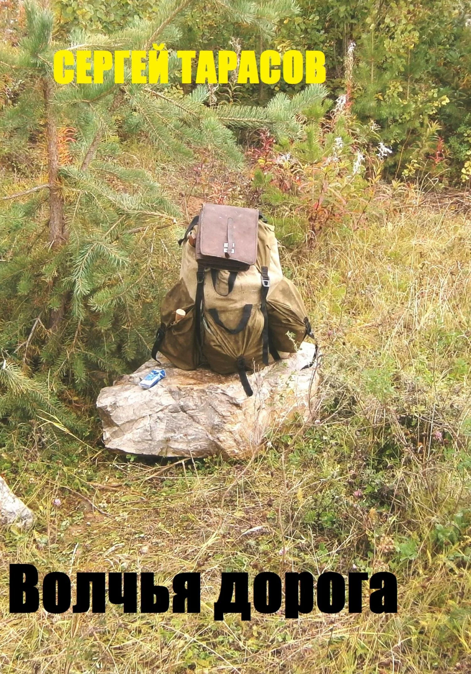 Обложка Волчья дорога