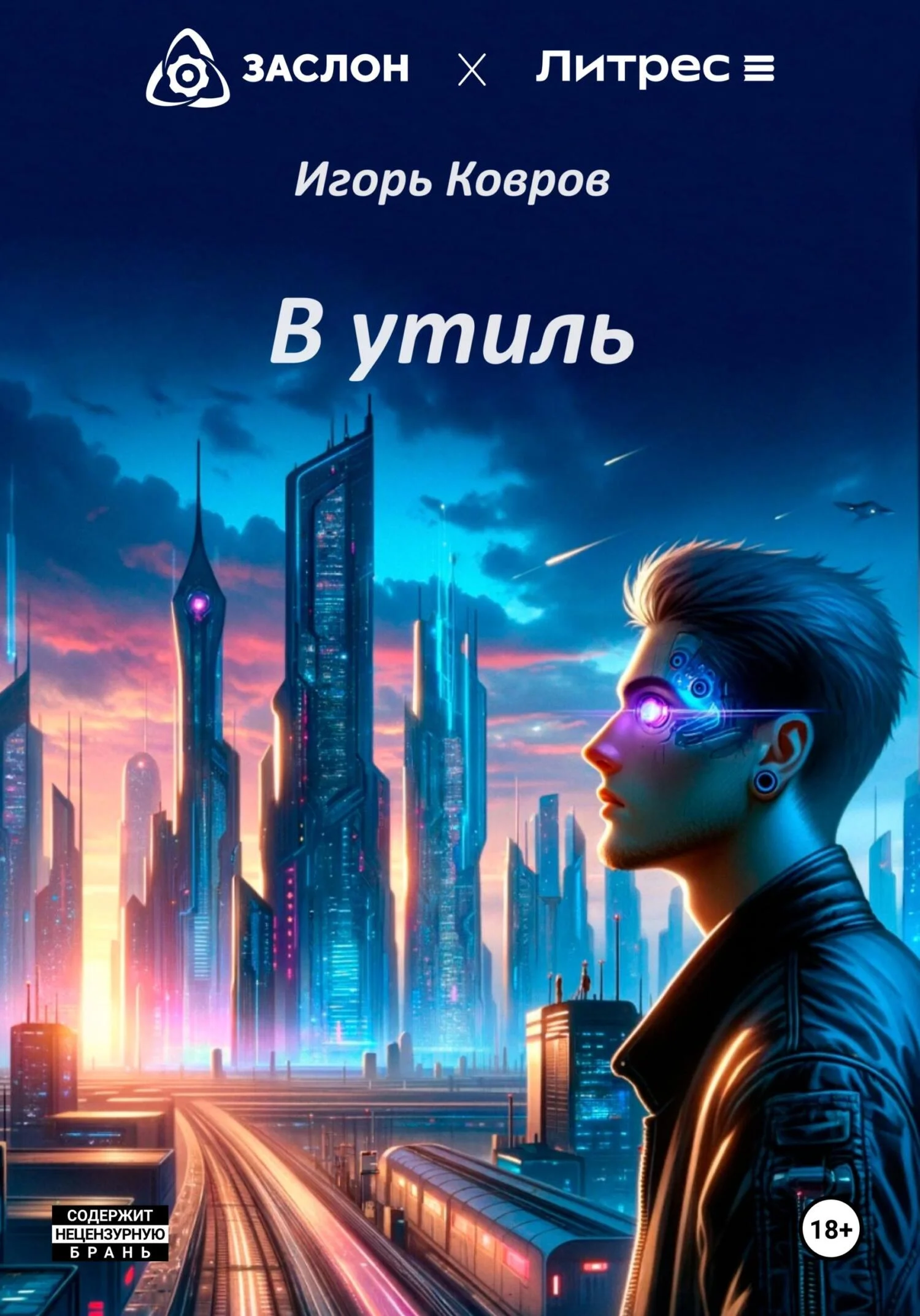 Обложка В утиль