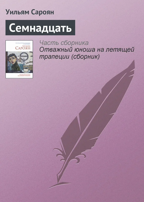 Обложка Семнадцать
