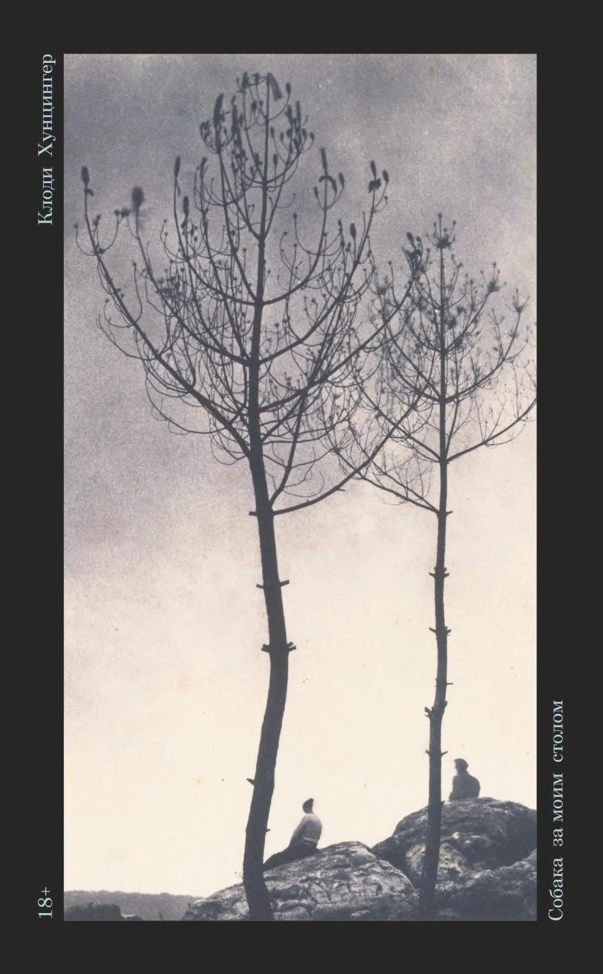 Обложка Собака за моим столом