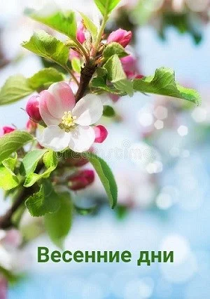 Обложка Весенние дни