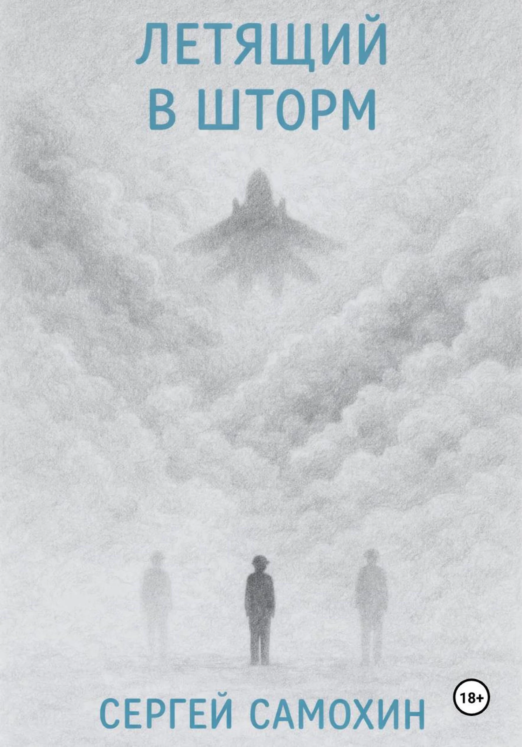 Обложка Летящий в шторм