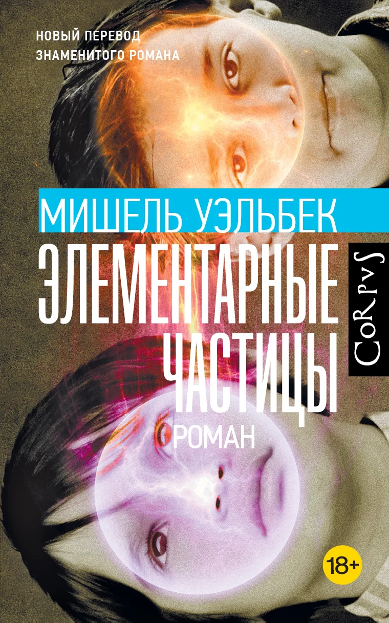 Обложка Элементарные частицы