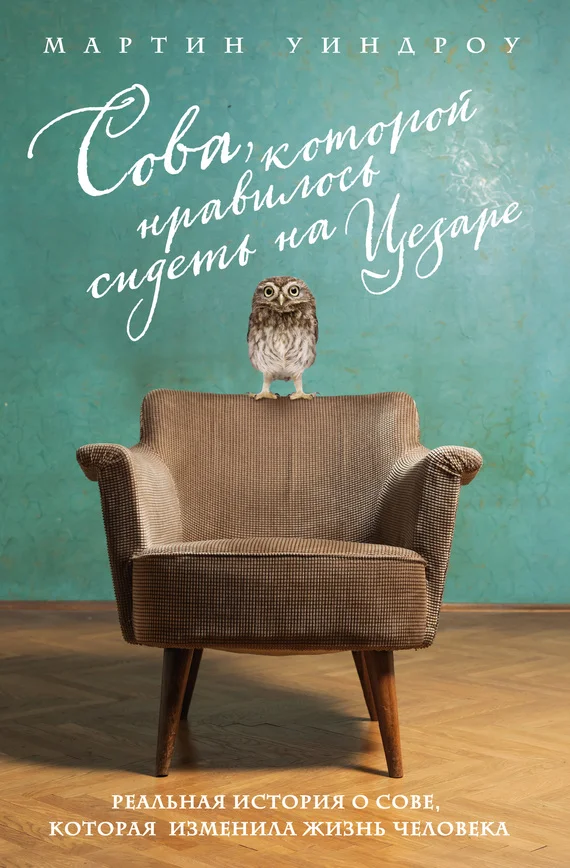 Обложка Сова, которой нравилось сидеть на Цезаре