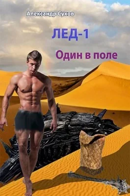 Обложка Один в поле
