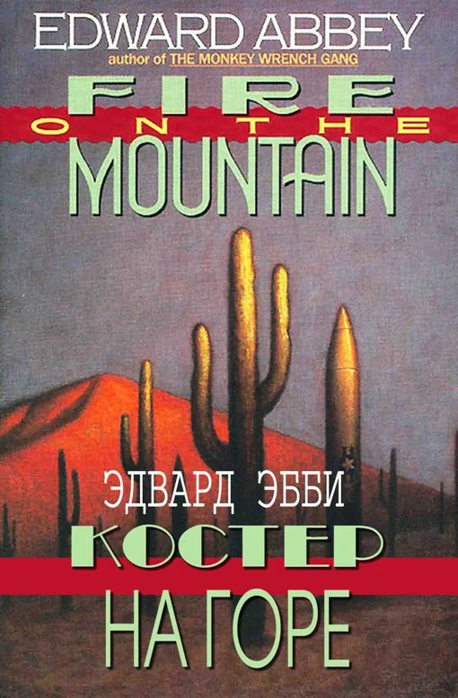 Обложка Костер на горе