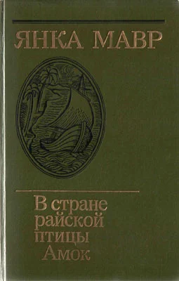 Обложка Амок