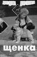 Обложка Воспитание щенка