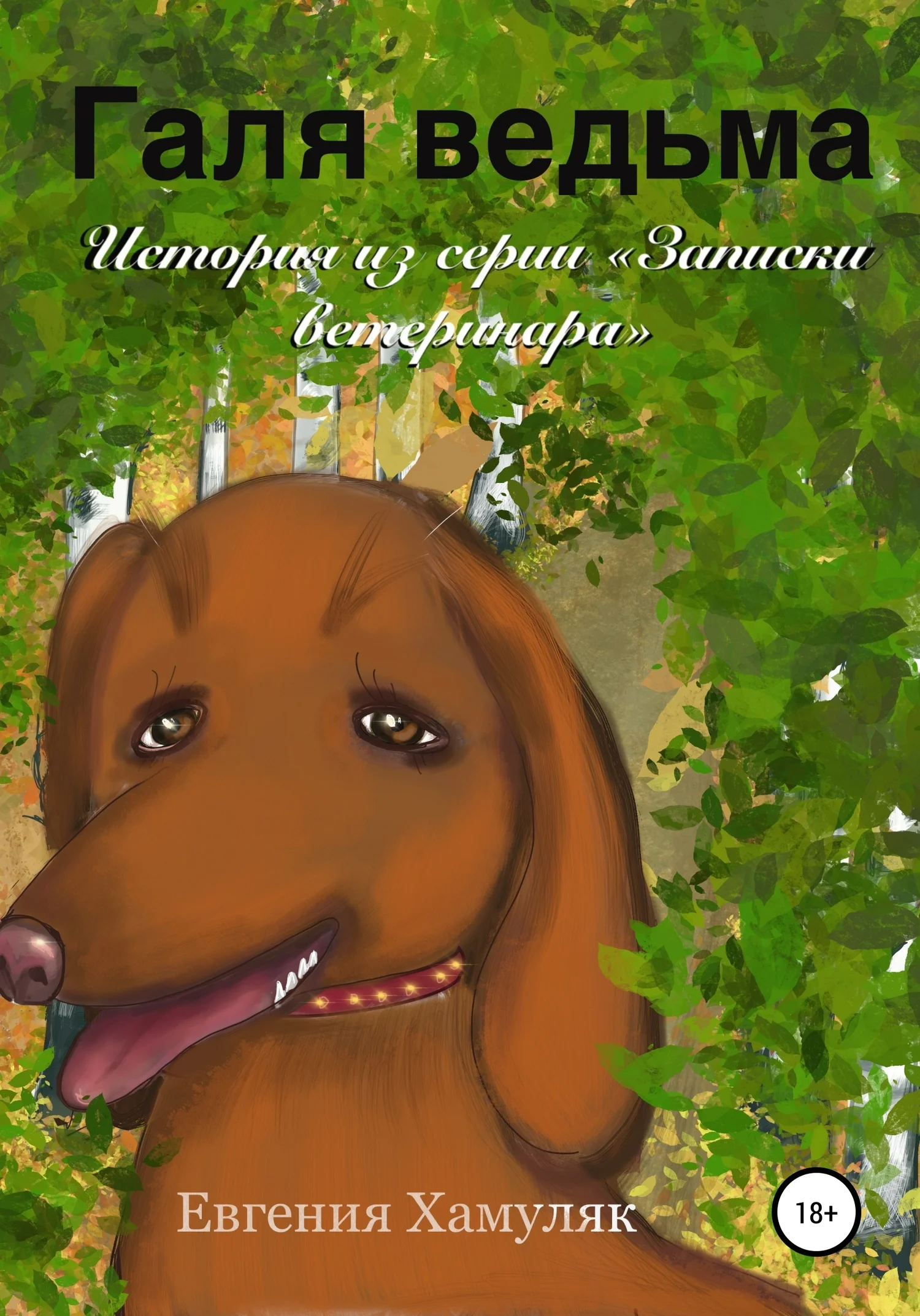 Обложка Галя ведьма